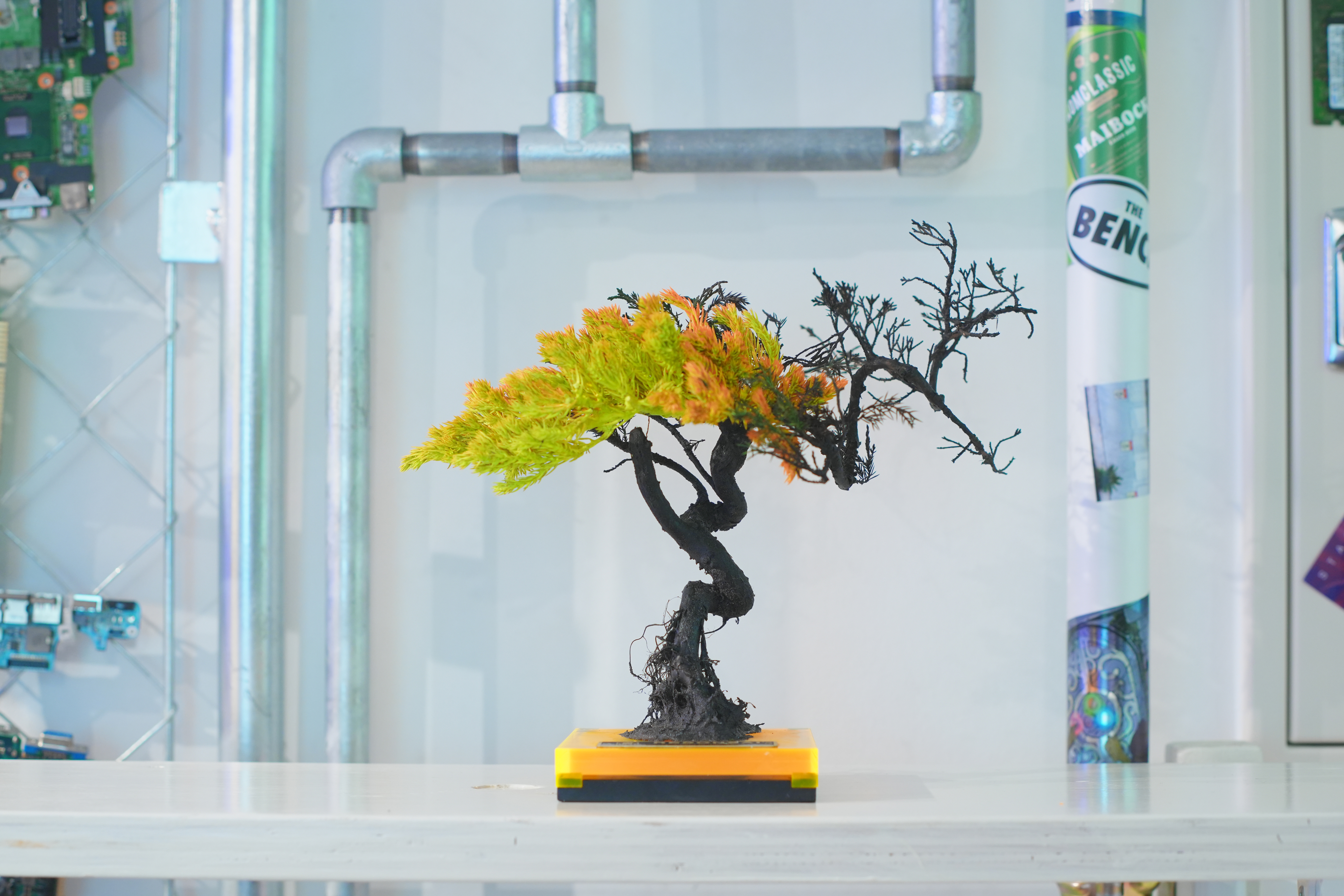 新宿エキナカで話題の次世代店舗“THE BENCH”にて、6/7よりRE BONSAI™️のPOP UP EVENTが開催決定のサブ画像7