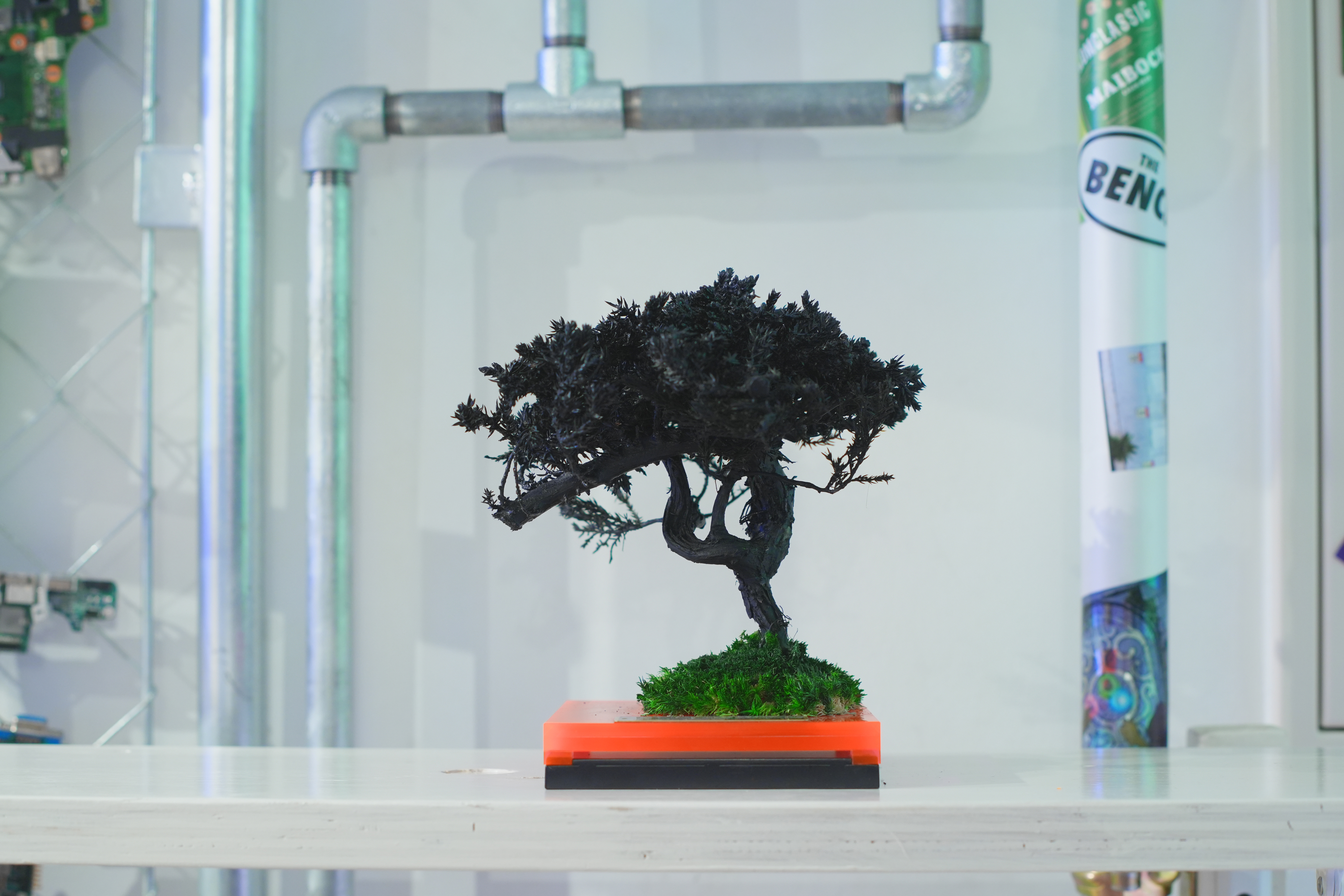 新宿エキナカで話題の次世代店舗“THE BENCH”にて、6/7よりRE BONSAI™️のPOP UP EVENTが開催決定のサブ画像8