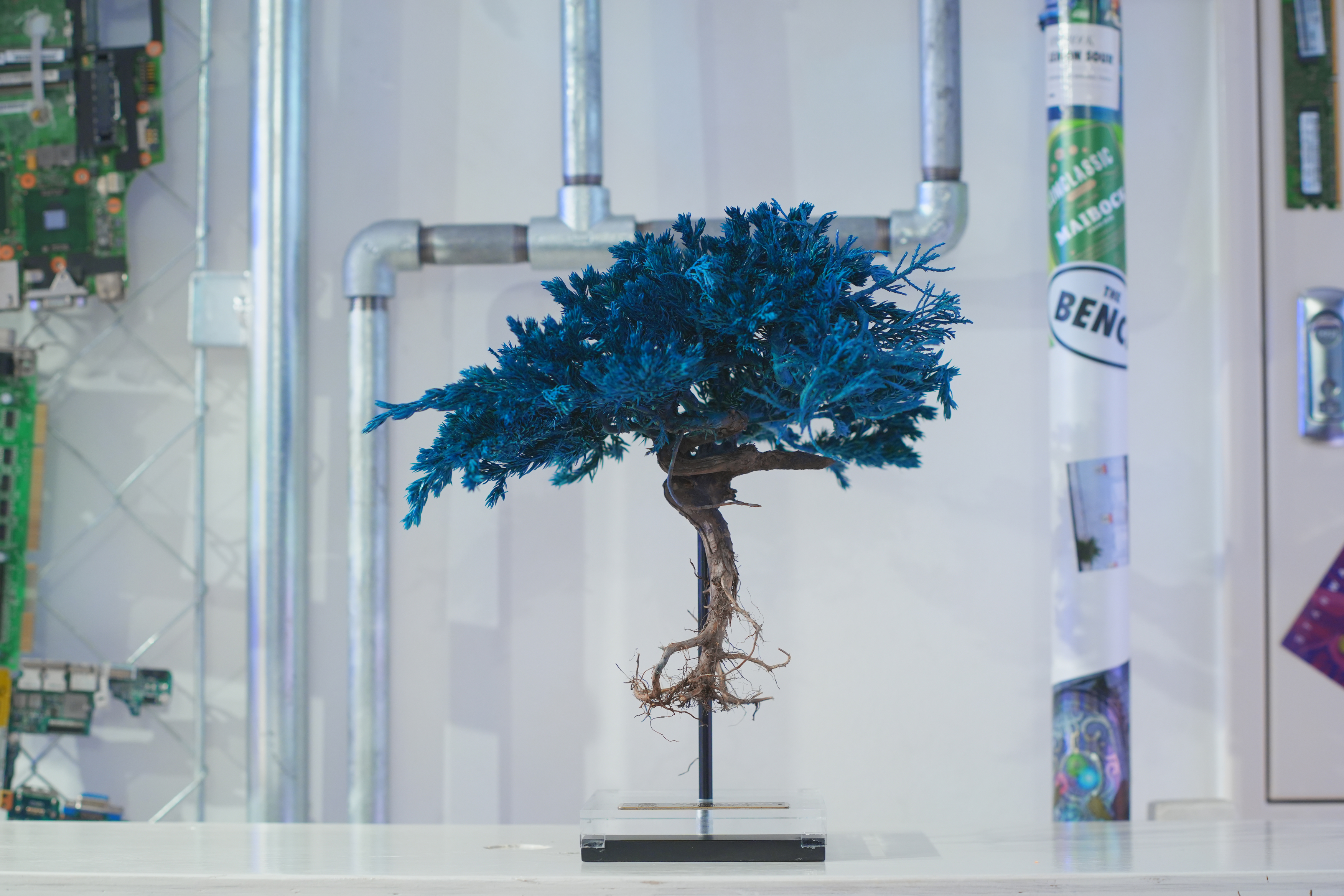 新宿エキナカで話題の次世代店舗“THE BENCH”にて、6/7よりRE BONSAI™️のPOP UP EVENTが開催決定のサブ画像9