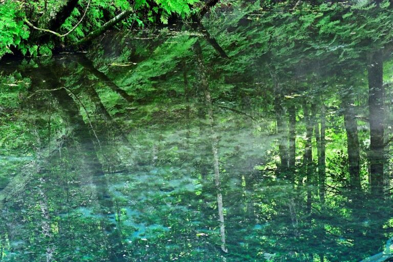 THE GALLERYセレクション展　浅野 久男　写真展　「Past Light　光にふれる」 を開催のメイン画像