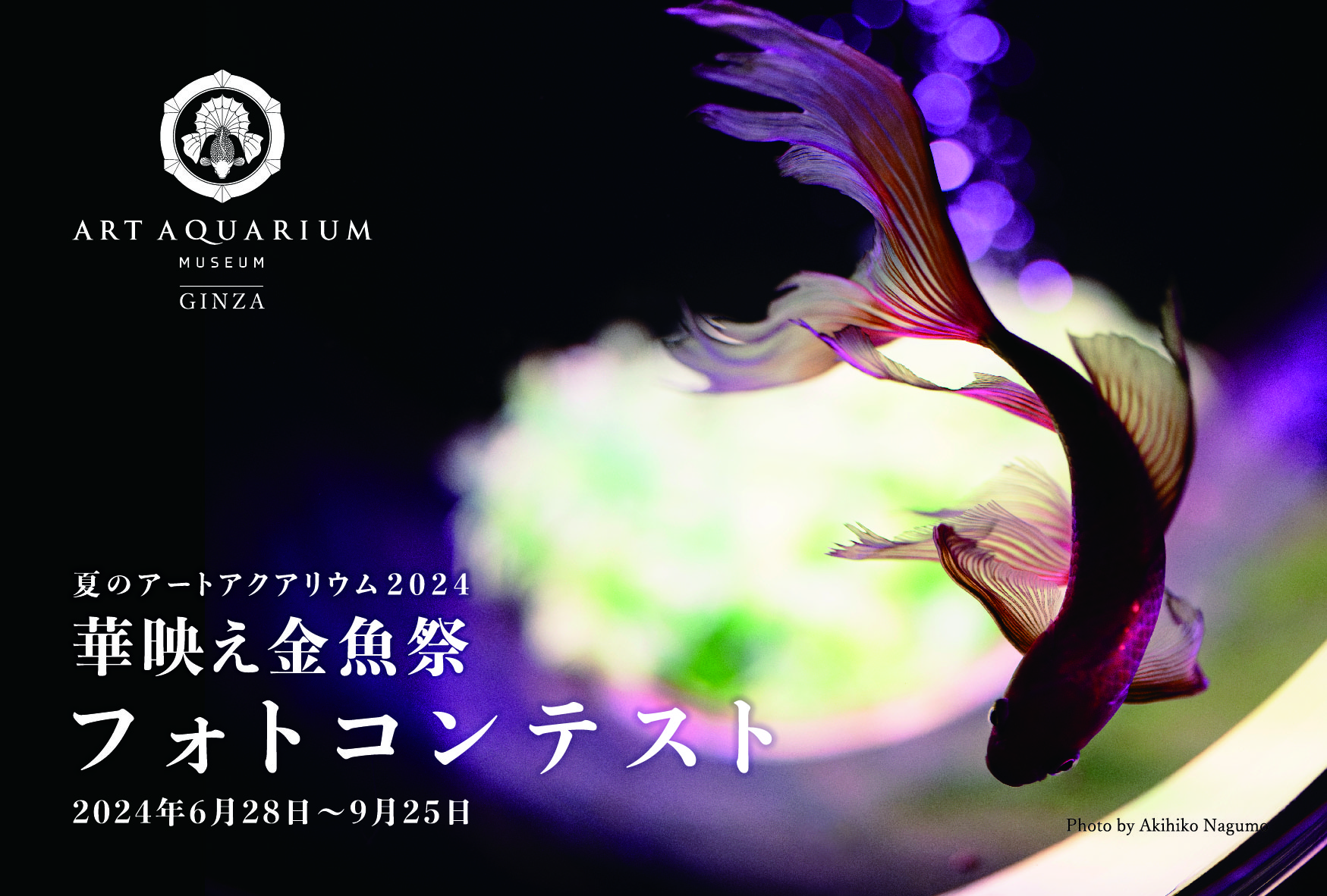 アートアクアリウムを代表するシリーズの大作が一挙に2作品登場　特別企画「夏のアートアクアリウム2024 華映え金魚祭」　6月28日（金）開幕！のサブ画像8