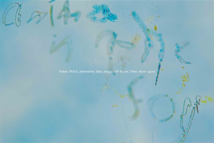 気鋭アーティスト・米澤柊が初めて企画を務める展覧会「Anima in the fog」を7月5日（金）から8月3日（土）まで開催のメイン画像