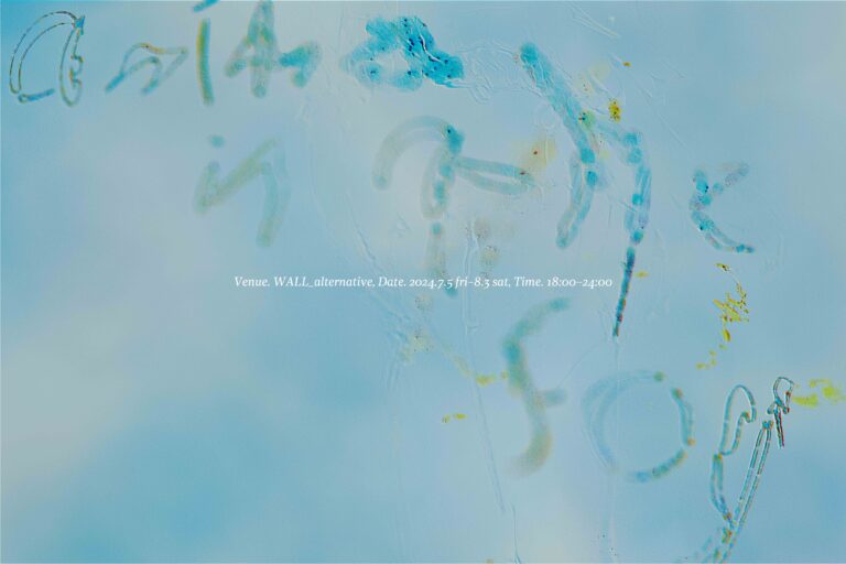 気鋭アーティスト・米澤柊が初めて企画を務める展覧会「Anima in the fog」を7月5日（金）から8月3日（土）まで開催のメイン画像