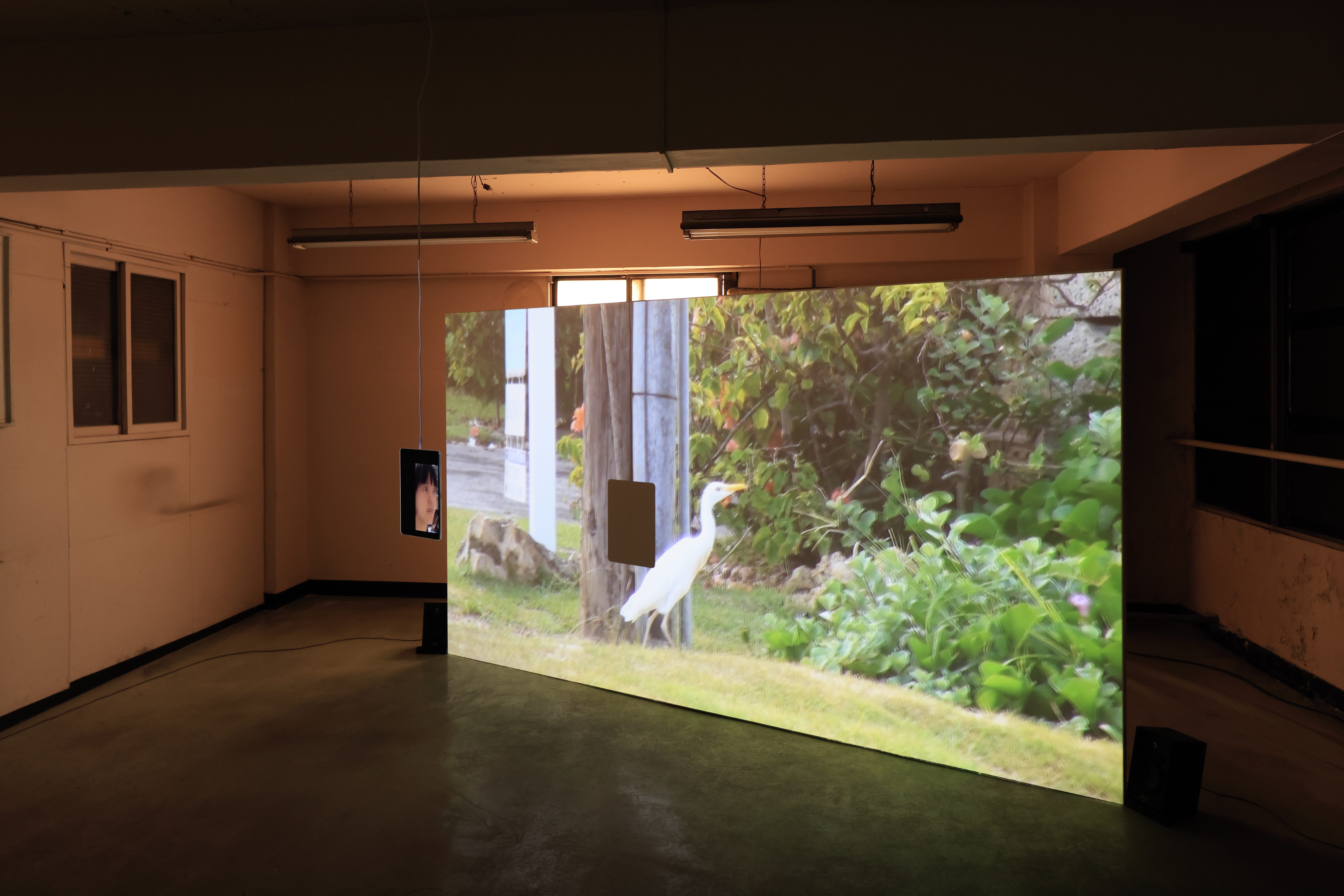 気鋭アーティスト・米澤柊が初めて企画を務める展覧会「Anima in the fog」を7月5日（金）から8月3日（土）まで開催のサブ画像5_「孵化日記旅行」　photo by Keizo Kioku