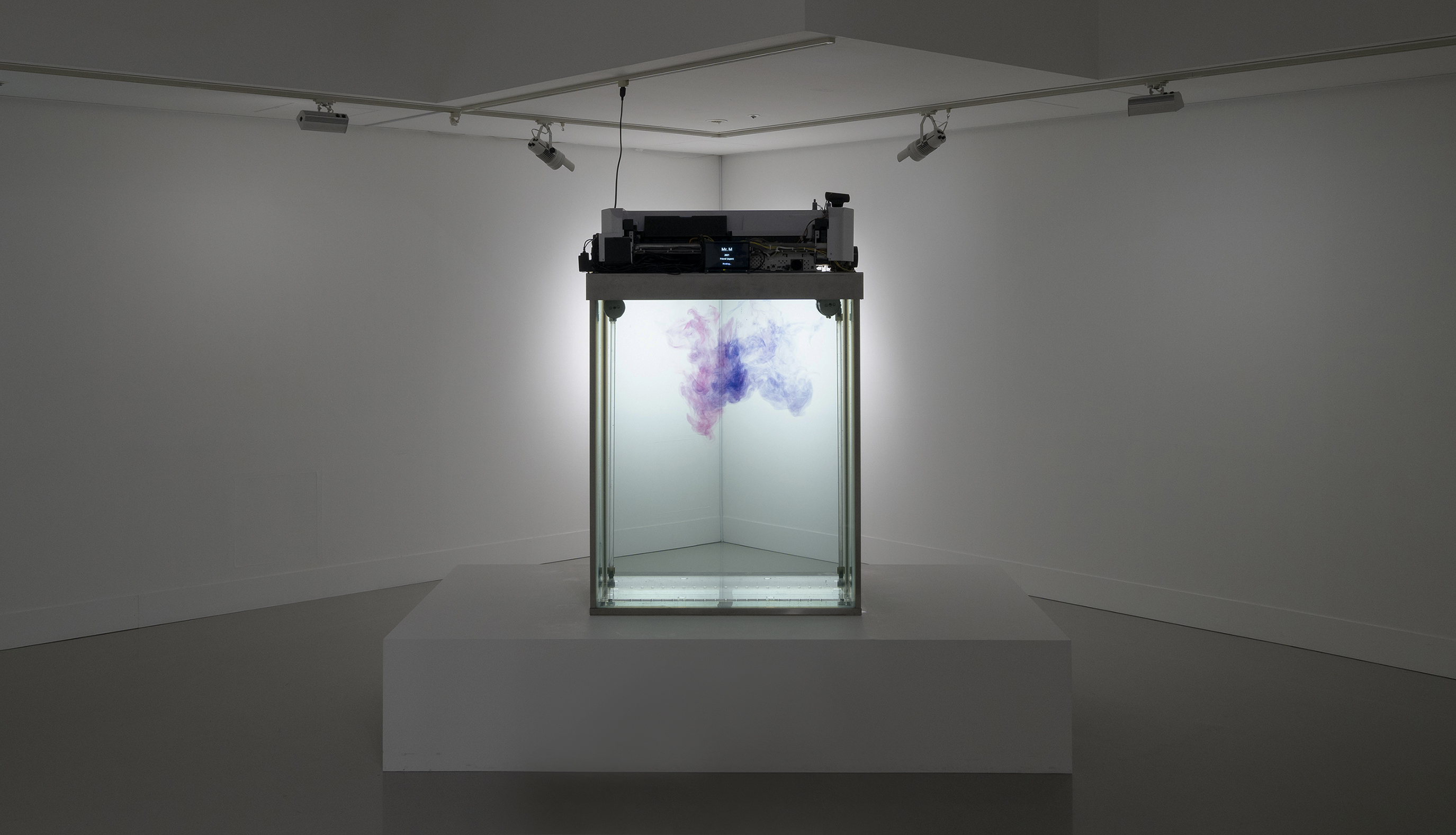 気鋭アーティスト・米澤柊が初めて企画を務める展覧会「Anima in the fog」を7月5日（金）から8月3日（土）まで開催のサブ画像9_「ファントーム」　photo by Ken Kato