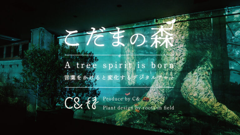 デジタルアート制作会社【C&】新作没入型コンテンツ「こだまの森 - 言葉をかけると変化するデジタルアート」をイベントにて公開のメイン画像