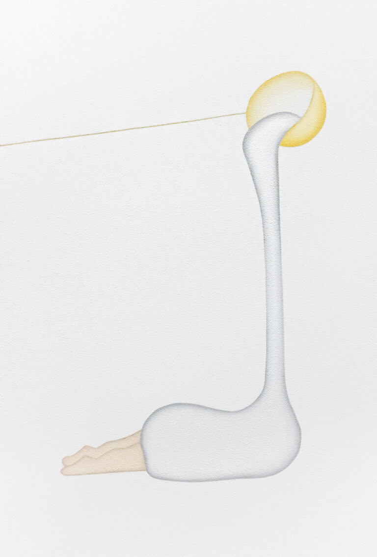 【京都 蔦屋書店】小澤香奈子 個展「しろくゆらす」を7月7日（日）より開催。気配や感覚を、白い布に包まれたモチーフで表現する。のメイン画像