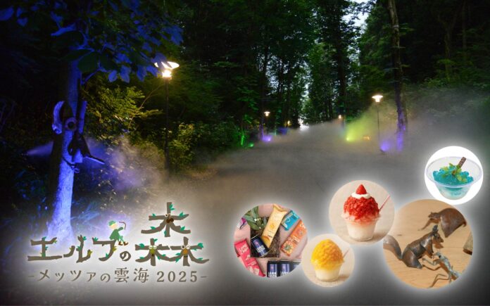 雲海が広がる魔法の森「エルフの森－メッツァの雲海 2025－」メッツァの天然資源をアップサイクルした循環型野外アート展示＆ギャラリーのメイン画像