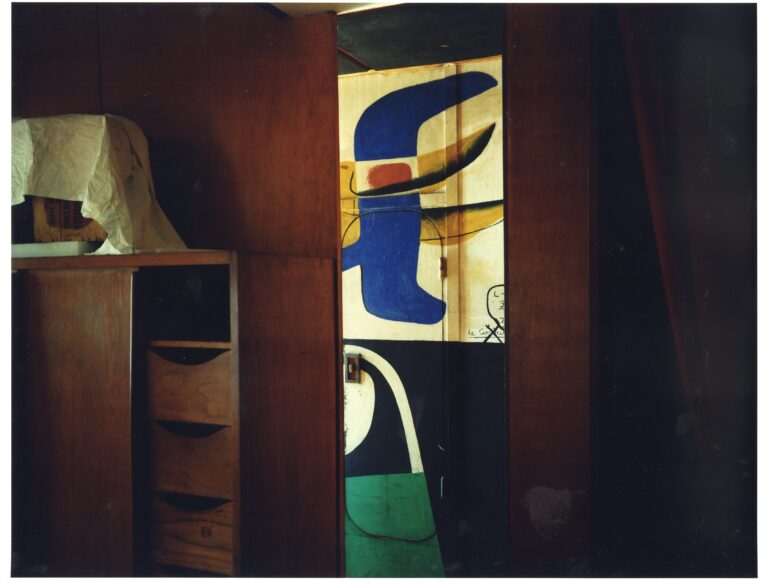 2025年10月2日(木)～10月14日(火) 写真家・石塚元太良 作品展開催「BAUをめぐる冒険」のメイン画像