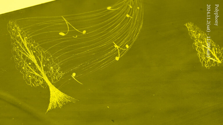 【クマ財団ギャラリー】若手クリエイターによるグループ展シリーズ「KUMA experiment 2024-25」vol.1『Polyphony』を11月2日(土)から開催！のメイン画像