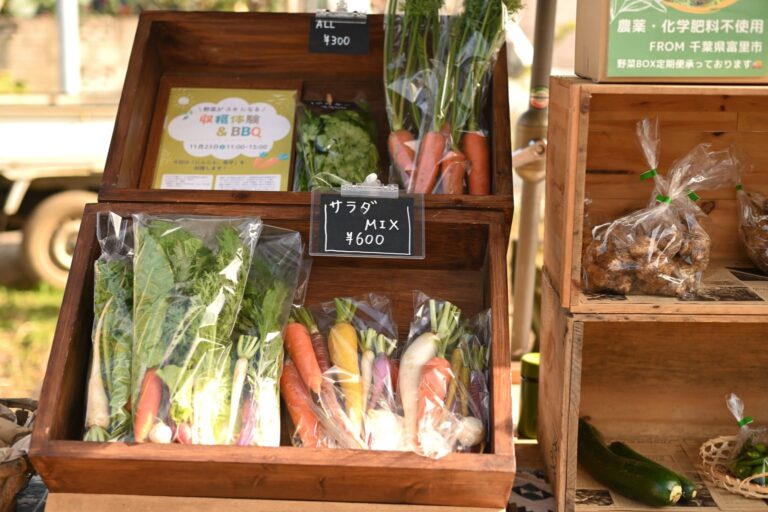 【千葉県佐倉市】商店街に活気をもたらす「シン・マチマーケット」出店者決定（3/15開催）のメイン画像