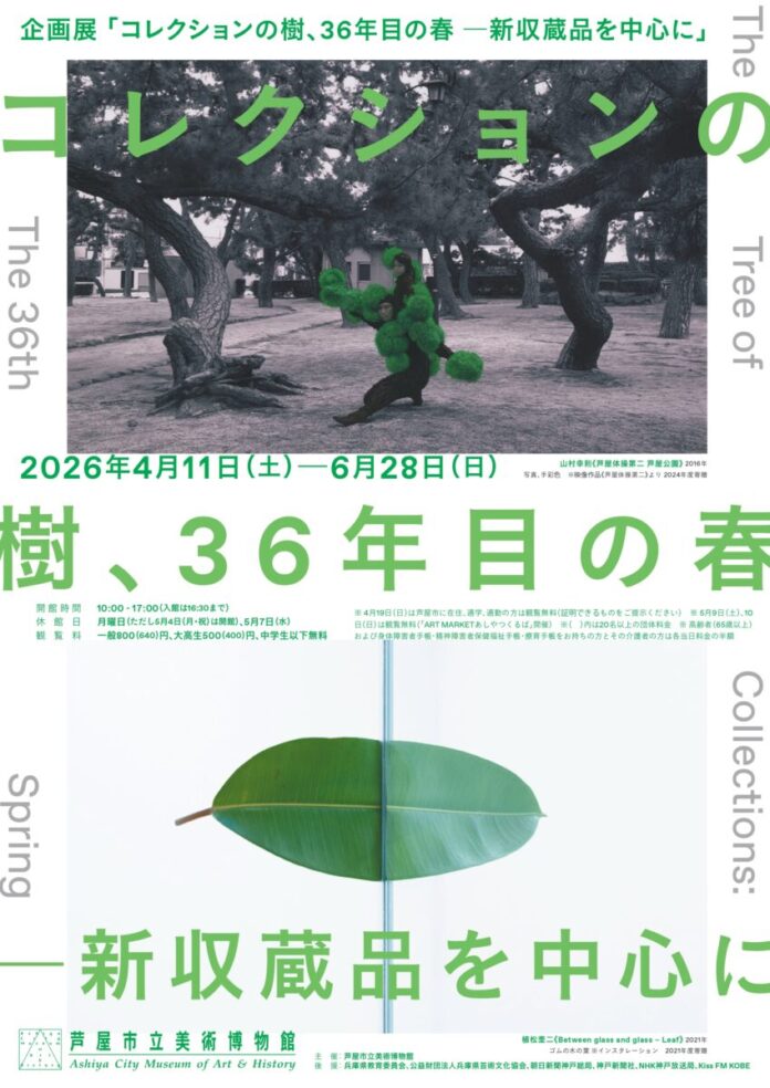 企画展「コレクションの樹、36年目の春 ―新収蔵品を中心に」　　　　会期：4/11(土)－6/28(日)　芦屋市立美術博物館のメイン画像