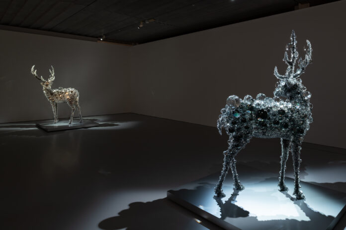 箱根、ポーラ美術館にて「SPRING わきあがる鼓動」、HIRAKU Project Vol.17 ヤマダカズキ「地に木霊す」開幕のメイン画像