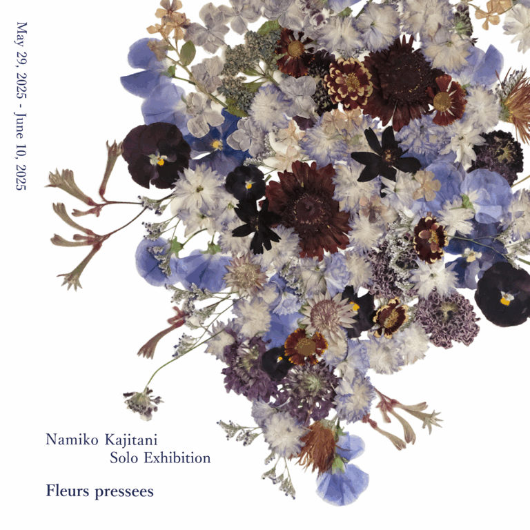 【アルフレックス大阪】移ろいゆく美しさを味わう絵画のような押し花アート。梶谷奈允子展「Fleurs pressees」開催のメイン画像
