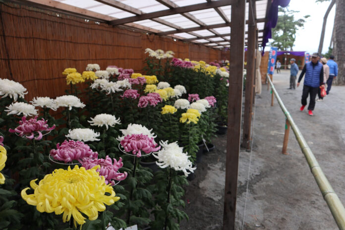 ＼開催中！／「沼津御用邸記念公園hana・花・シンフォニー」竹のインスタレーションアート、夜間ライトアップも！のメイン画像