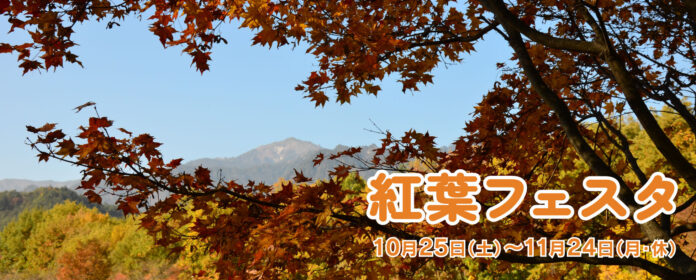 見て作って遊ぶ秋「紅葉フェスタ」開催｜国営アルプスあづみの公園【大町・松川地区】のメイン画像
