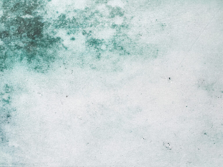 永続性と消失、そのあいだに浮かぶ痕跡。表参道・骨董通り沿いの「アザワイズギャラリー」にて彫刻家・髙橋 銑（たかはし せん）の個展を2025年4月25日（金）〜5月31日（土）開催。のメイン画像