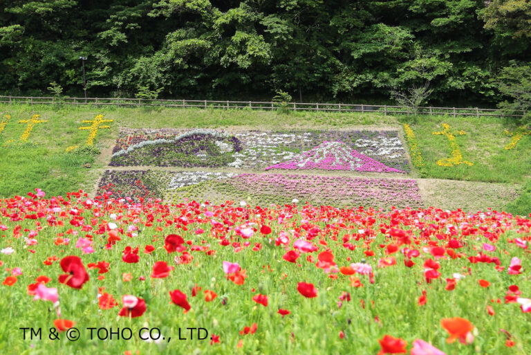ゴジラ｜富嶽三十六景のフラワーアートが登場！「赤」をテーマに、ポピー花畑との競演（横須賀市くりはま花の国）のメイン画像