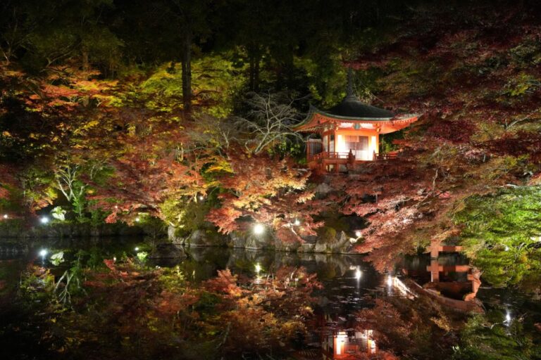 世界文化遺産・醍醐寺で秋の夜を特別体験のメイン画像