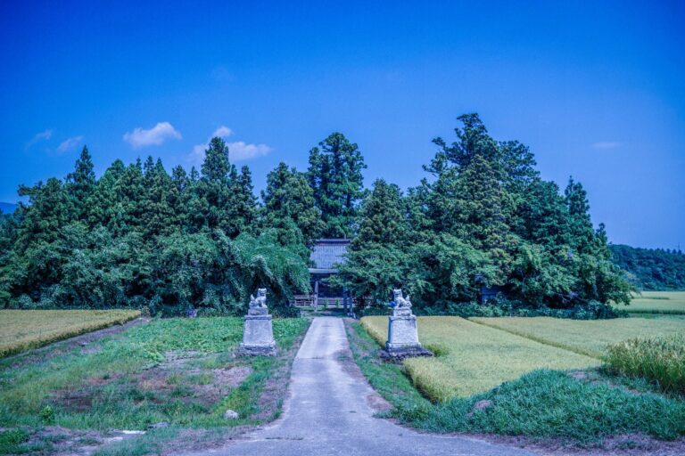 【さどの島銀河芸術祭 2025】公式音声ガイドをON THE TRIPが制作のメイン画像