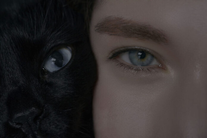 38140_27_main 猫と人の新ブランド「Jess. 」が、代官山 蔦屋書店 ART SPARK 2026にて先行リリースのメイン画像