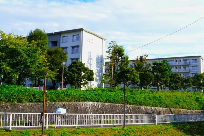 【アーツカウンシル東京】地域に根差した文化活動の担い手をつくるプロジェクト「地域連携型演習事業」をはじめますのメイン画像