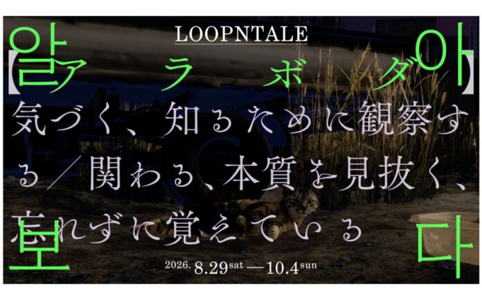 【CCBT】Loopntale が日本初個展。「알아보다【アラボダ】──気づく、知るために観察する／関わる、本質を見抜く、忘れずに覚えている」8月29日（土） より開催のメイン画像
