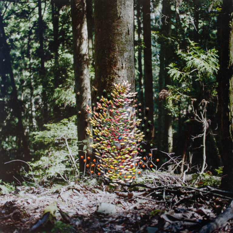 ADFアートギャラリープロジェクトVol.33 アーティスト澄毅 個展「concorde」が開催のメイン画像