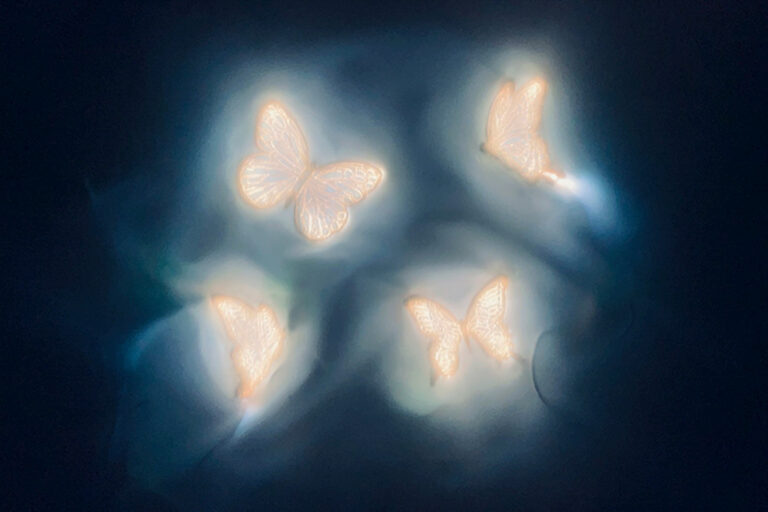 刺繍アートブランド「&T (アンドティー)」がDESIGNART TOKYO 2024にて刺繍インスタレーションアートを展示のメイン画像