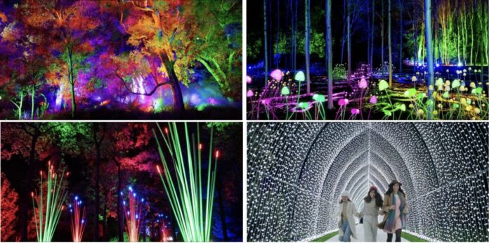 【西オーストラリア】州都「パース」の広大な都市公園「キングスパーク」を光のアートが彩る没入型イベント『ライトスケープ 2026』6月5日(金)から開催のメイン画像