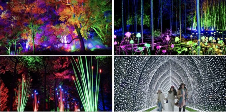 【西オーストラリア】州都「パース」の広大な都市公園「キングスパーク」を光のアートが彩る没入型イベント『ライトスケープ 2026』6月5日(金)から開催のメイン画像