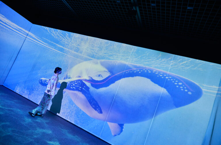 一旗プロデュース「動き出す浮世絵展 KAGOSHIMA」来場者数4万人を突破。9月1日（日）まで鹿児島県歴史・美術センター 黎明館で開催中。浮世絵の世界に没入できるデジタルアートミュージアム。のメイン画像