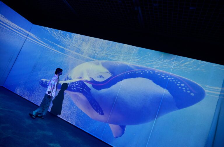 一旗プロデュース「動き出す浮世絵展 KAGOSHIMA」の公式記録映像“藍”を公開。世界で「ジャパン・ブルー」と絶賛され、その美しさに多くの人が魅了される「藍色」をテーマとする映像空間。のメイン画像