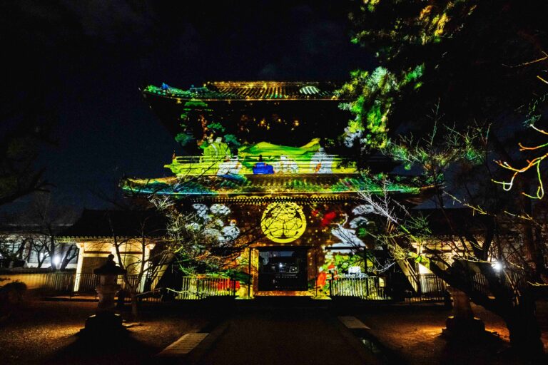 一旗プロデュース「徳川将軍家菩提寺 成道山大樹寺 デジタルアートナイト 2025」の公式記録映像を公開。徳川家康ゆかりの大樹寺で山門へのプロジェクションマッピングと非公開文化財を再現する夜間特別拝観。のメイン画像