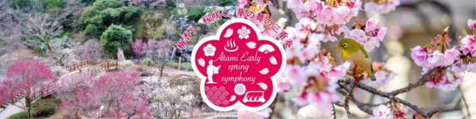 熱海に新しい観光体験「グリーンスローモビリティ」試験導入のメイン画像