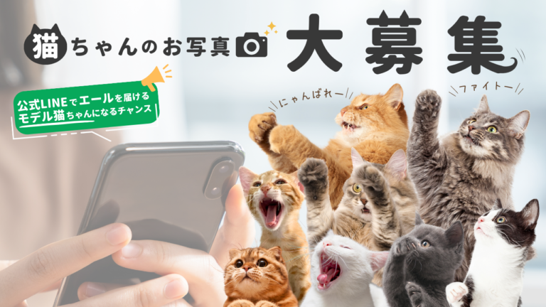 【締切間近！猫ちゃんのお写真大募集】ブランド公式LINE企画で「モデルデビュー」のチャンス！☆2024年11月17日まで☆のメイン画像
