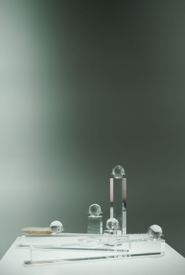 【京都 蔦屋書店】青沼優介「イマジナリー・スケープ」を3月1日（土）より開催。現実と夢のはざまで浮かぶ景色を、たんぽぽの綿毛で表現する。のメイン画像