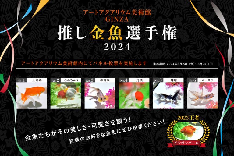 人気No.1はどの金魚⁈あなたの推し金魚に一票を！　アートアクアリウム美術館 GINZA「推し金魚選手権2024」開催！のメイン画像