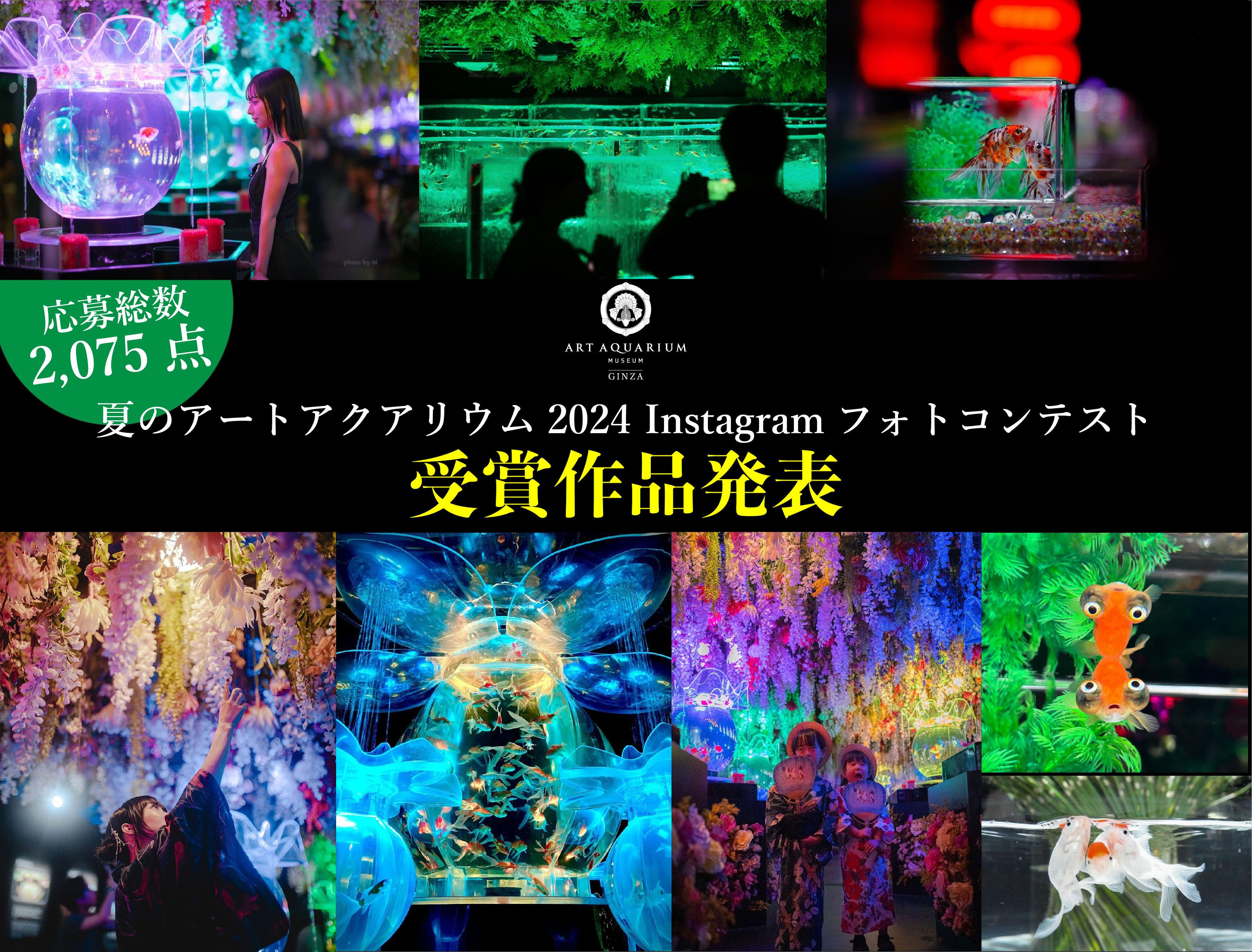 【映える、撮る、好きになる！】夏のアートアクアリウム2024 フォトコンテスト受賞作品を発表！のサブ画像1