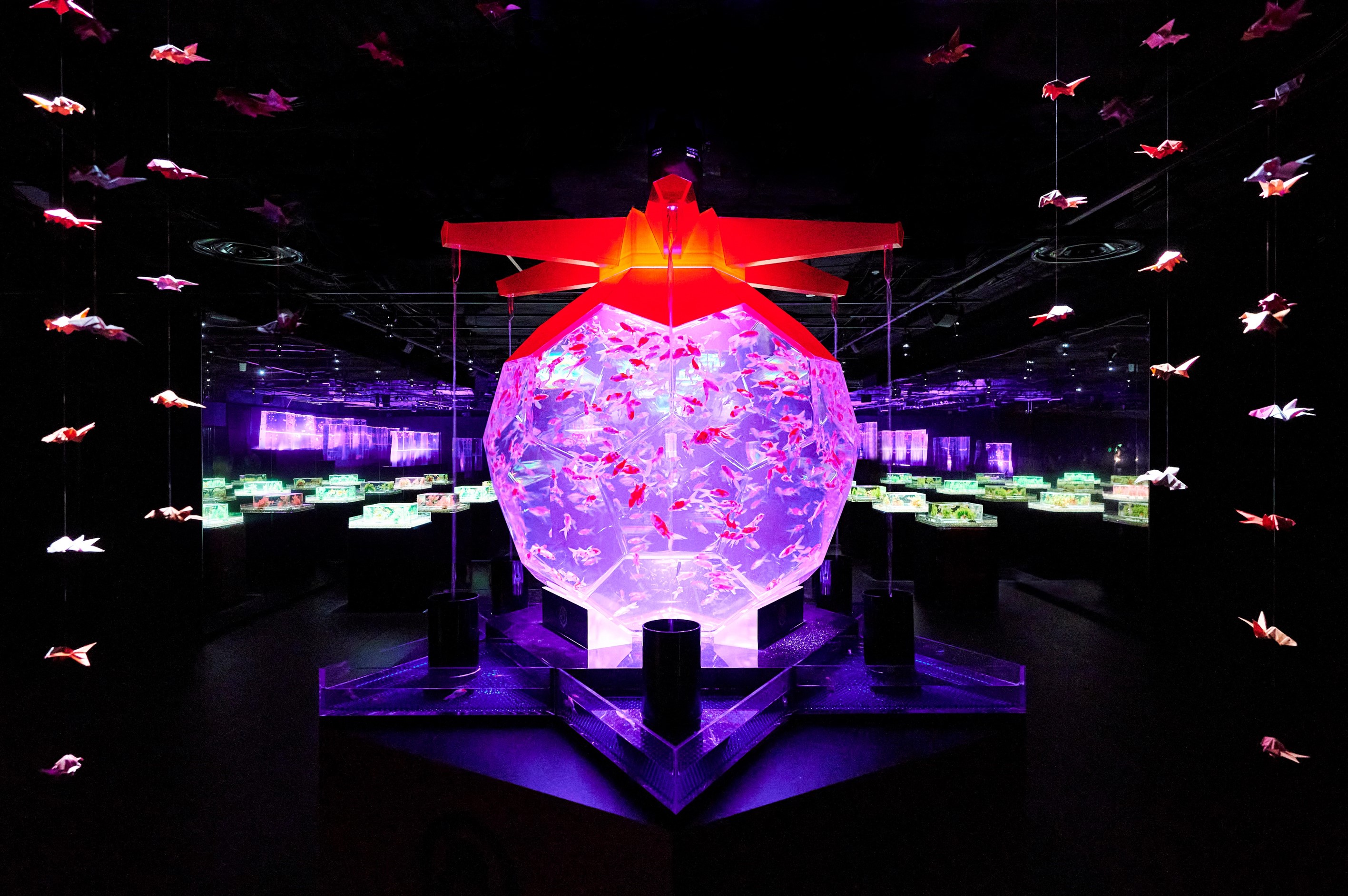 アートアクアリウム美術館 GINZAと銀座の街に根付く歴史に触れる特別ガイド付きツアー　第3弾、2024年11月21日（木）催行決定！のサブ画像4