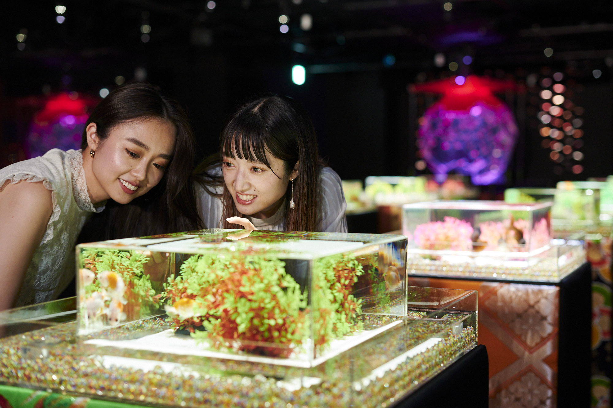 アートアクアリウム美術館 GINZA　人気作品トップ３を発表！のサブ画像2
