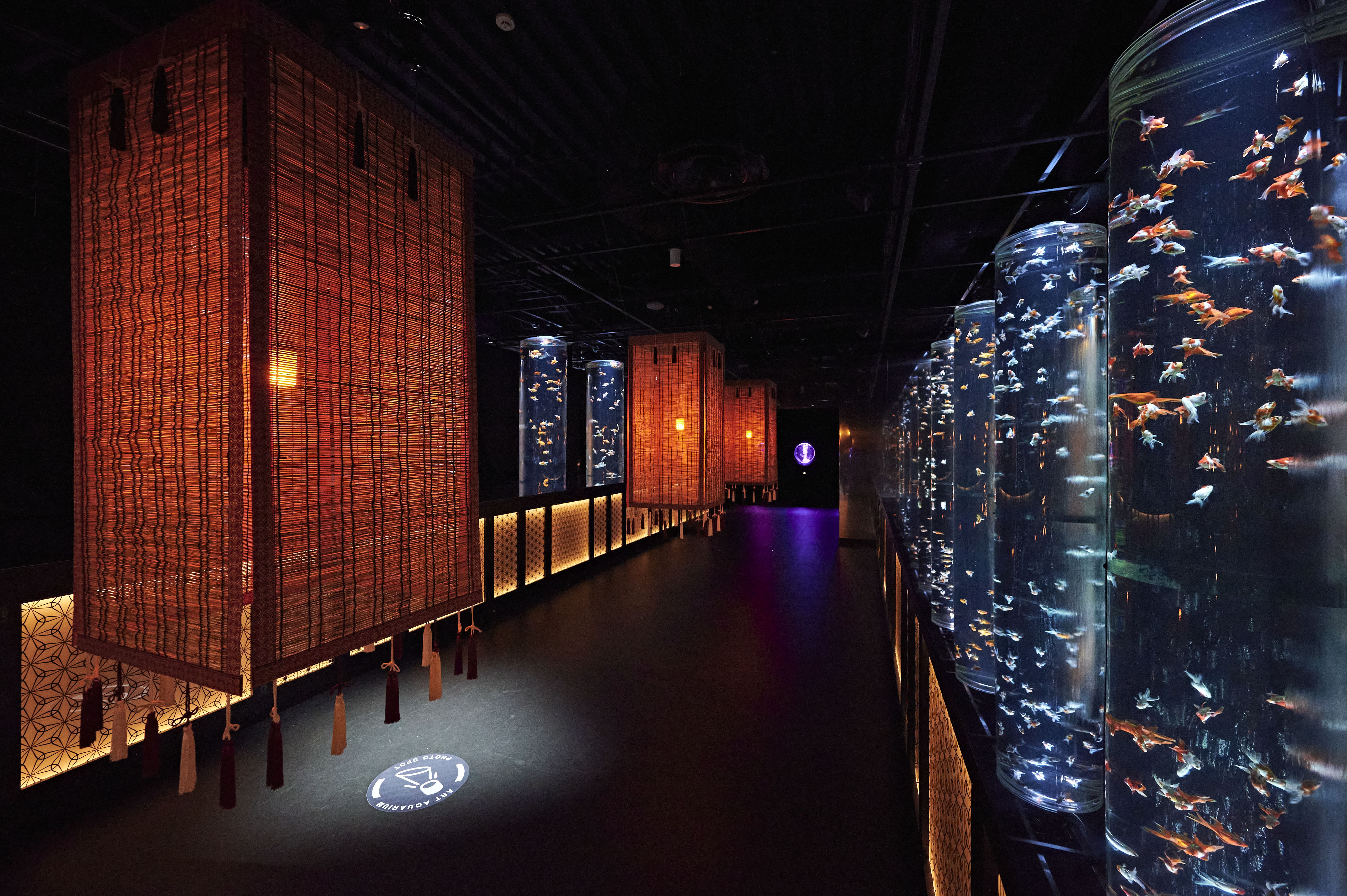 アートアクアリウム美術館 GINZA　人気作品トップ３を発表！のサブ画像4