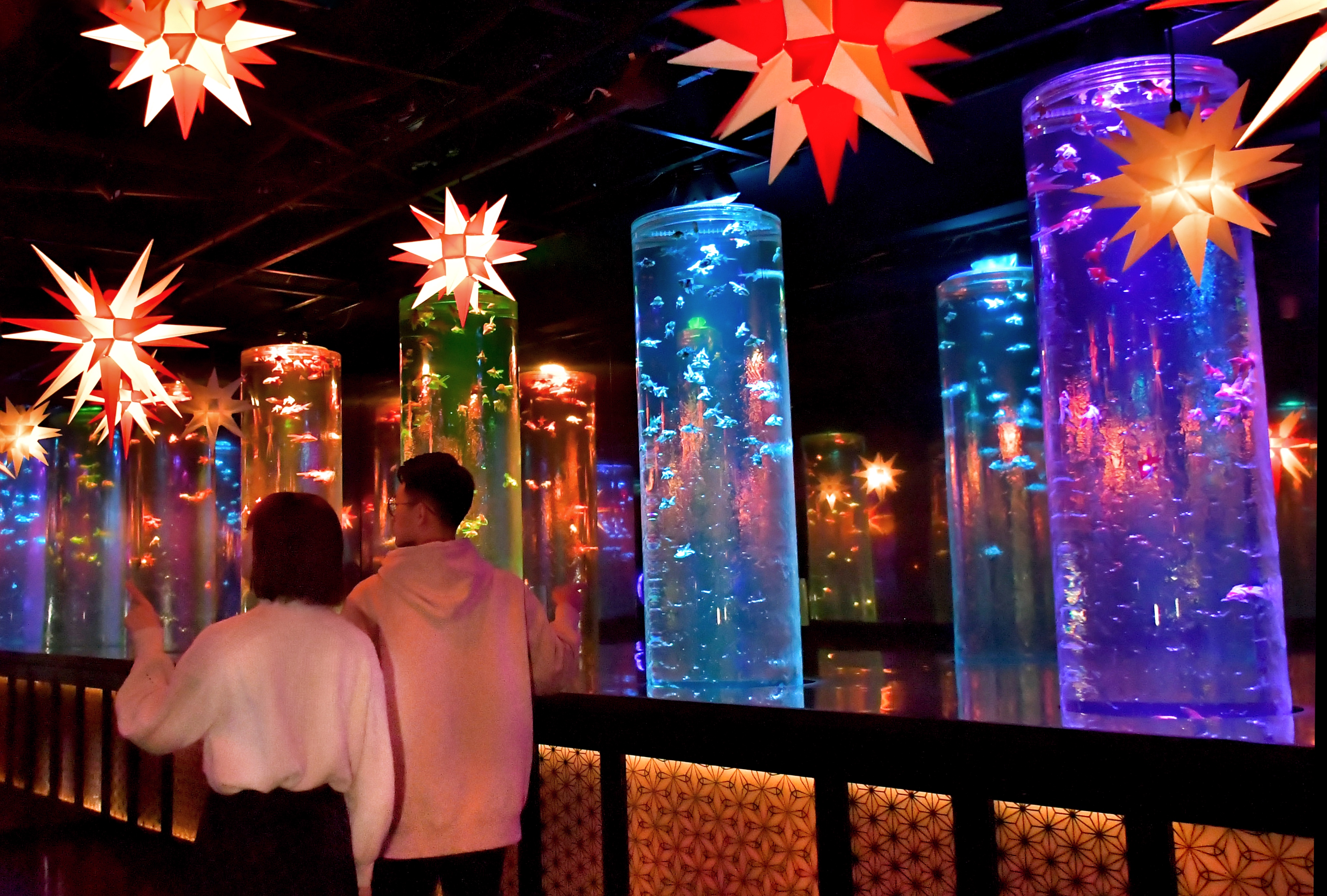 癒しと輝きのときめきを。金魚アート×イルミネーションの幻想的なクリスマス　冬のアートアクアリウム「星降る銀座のクリスマス2024」11月29日（金）開幕のサブ画像2