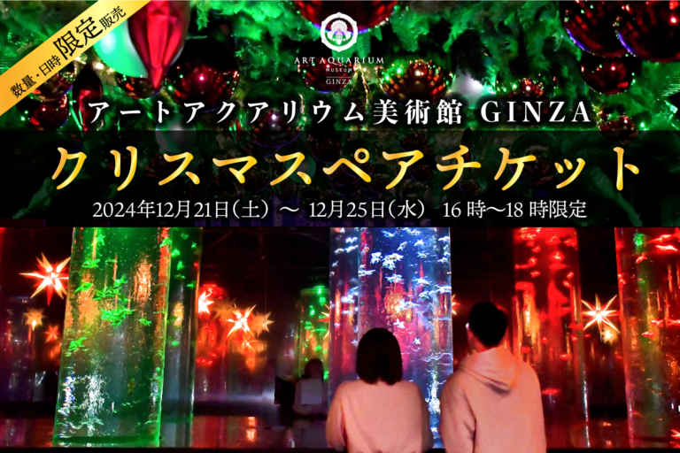 クリスマスはアートアクアリウム美術館で癒しとワクワクの思い出を　お得なクリスマスペアチケットを数量限定で販売！　2人で楽しむ“星降る銀座のクリスマス”のメイン画像