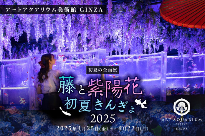 光と花に包まれる華麗な“紫”のアート空間 藤と紫陽花が織りなす、初夏の幻想的なインスタレーションを。 アートアクアリウム美術館 初夏の企画展「藤と紫陽花 初夏きんぎょ2025」4月25日（金）開幕のメイン画像