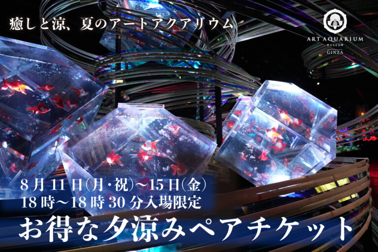 暑い夏こそ、癒しと涼の“夏のアートアクアリウム”へ！夏休み特別企画 「夕涼みペアチケット」8月11日（月・祝）～15日（金）18時ご入場 お得なペアチケットを数量限定（100組）発売！のメイン画像