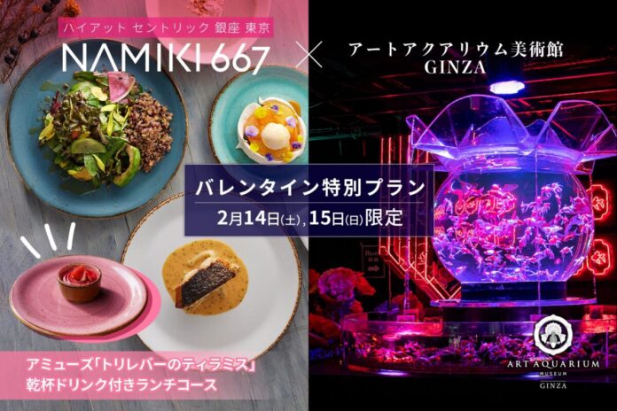 バレンタイン特別コラボ ハイアット セントリック 銀座 東京 NAMIKI667のランチとアートアクアリム美術館の金魚アート鑑賞で特別なバレンタインをのメイン画像