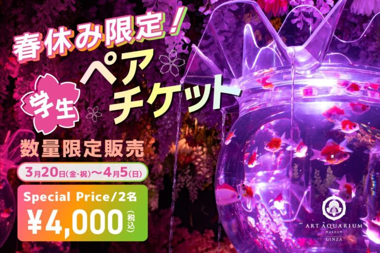 春休み！学生だけの特別価格でアートアクアリウム美術館を楽しもう 春の学生ペアチケットを販売！のメイン画像