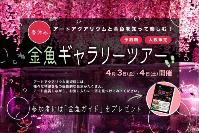 春休み、アートアクアリウムと金魚を知って楽しむ！ 金魚ギャラリーツアー催行のメイン画像
