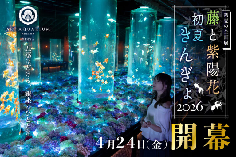 アートアクアリウム美術館 GINZA初夏の企画展「藤と紫陽花 初夏きんぎょ2026」4月24日開幕のメイン画像